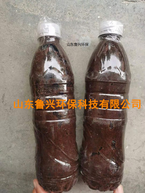 厭氧氨氧化顆粒污泥-(7).jpg