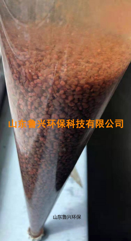 厭氧氨氧化顆粒污泥-(4).jpg