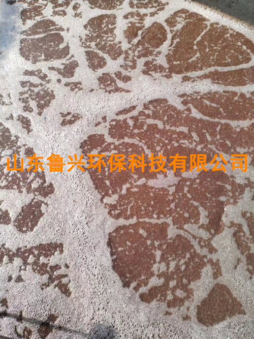 厭氧氨氧化顆粒污泥03.jpg
