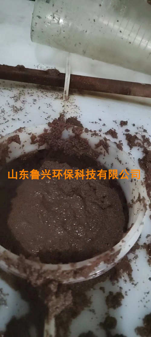 厭氧氨氧化顆粒污泥-(6).jpg