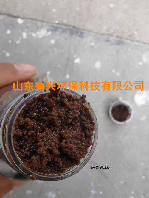 厭氧氨氧化顆粒污泥-(5).jpg